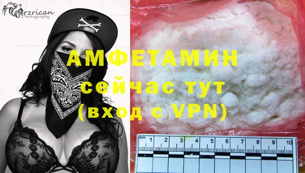 mdpv Бородино