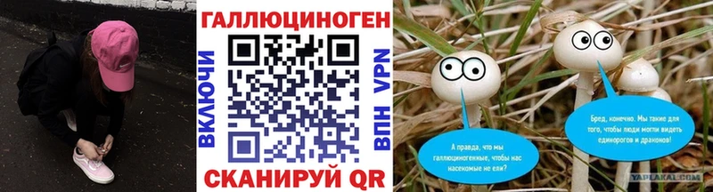 гидра вход купить Верхняя Салда Псилоцибиновые грибы Psilocybine cubensis